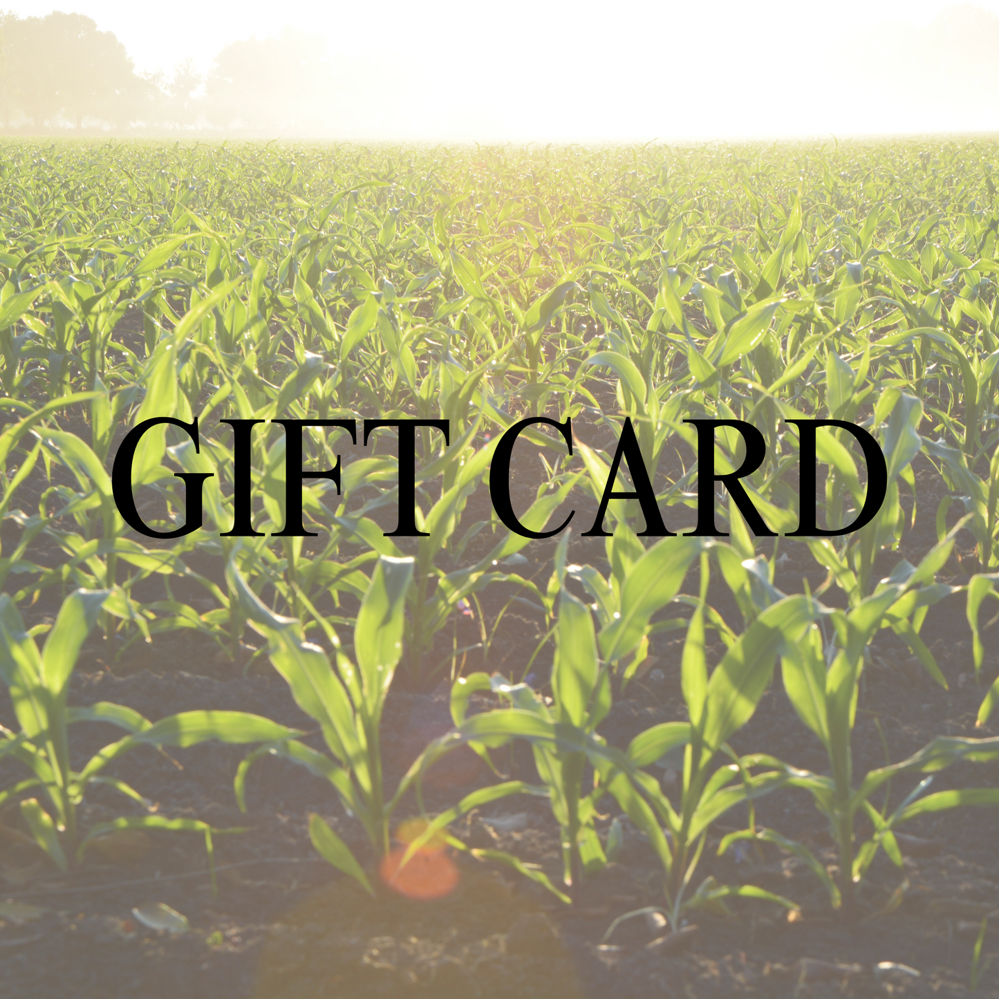 Southern Row Apparel Gift Card
